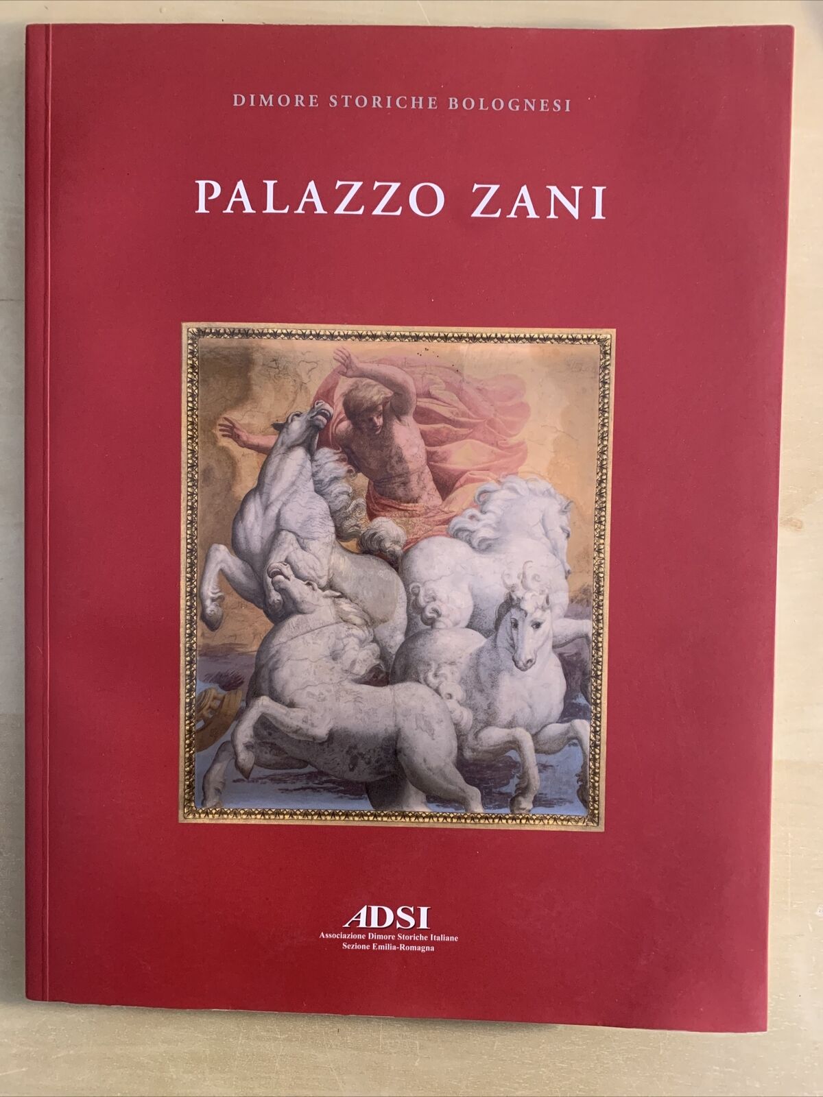 PALAZZO ZANI - MINERVA EDIZIONI 2011 #