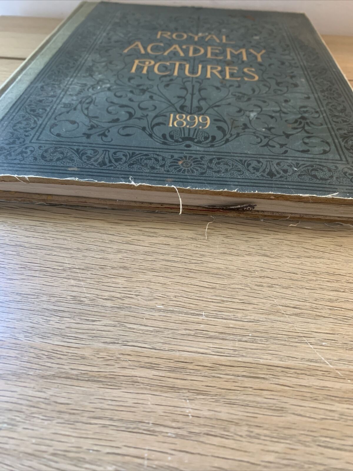 Royal Academy Pictures 1899