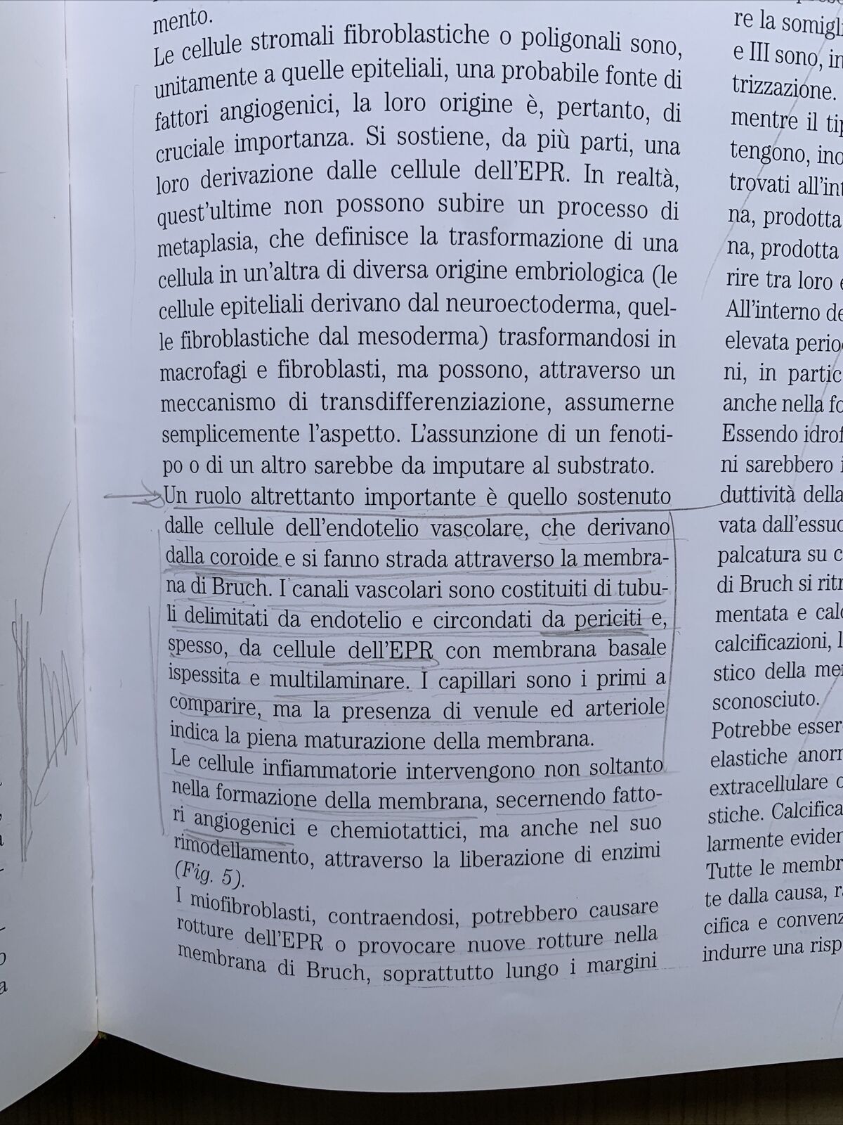 Chirurgia della Macula, Fabiano editore. Società oftalmologica italiana 2001 #