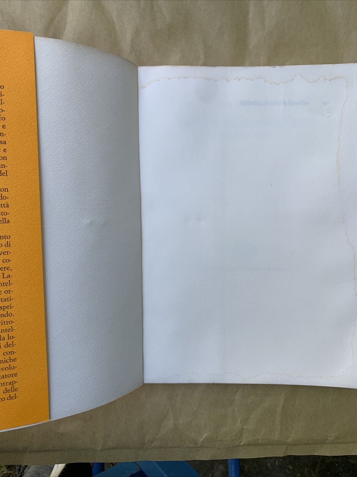 LA SELVA DELLE SOMIGLIANZE, IL FILOSOFO E IL MEDICO - CARLO AUGUSTO VIANO 1985 #