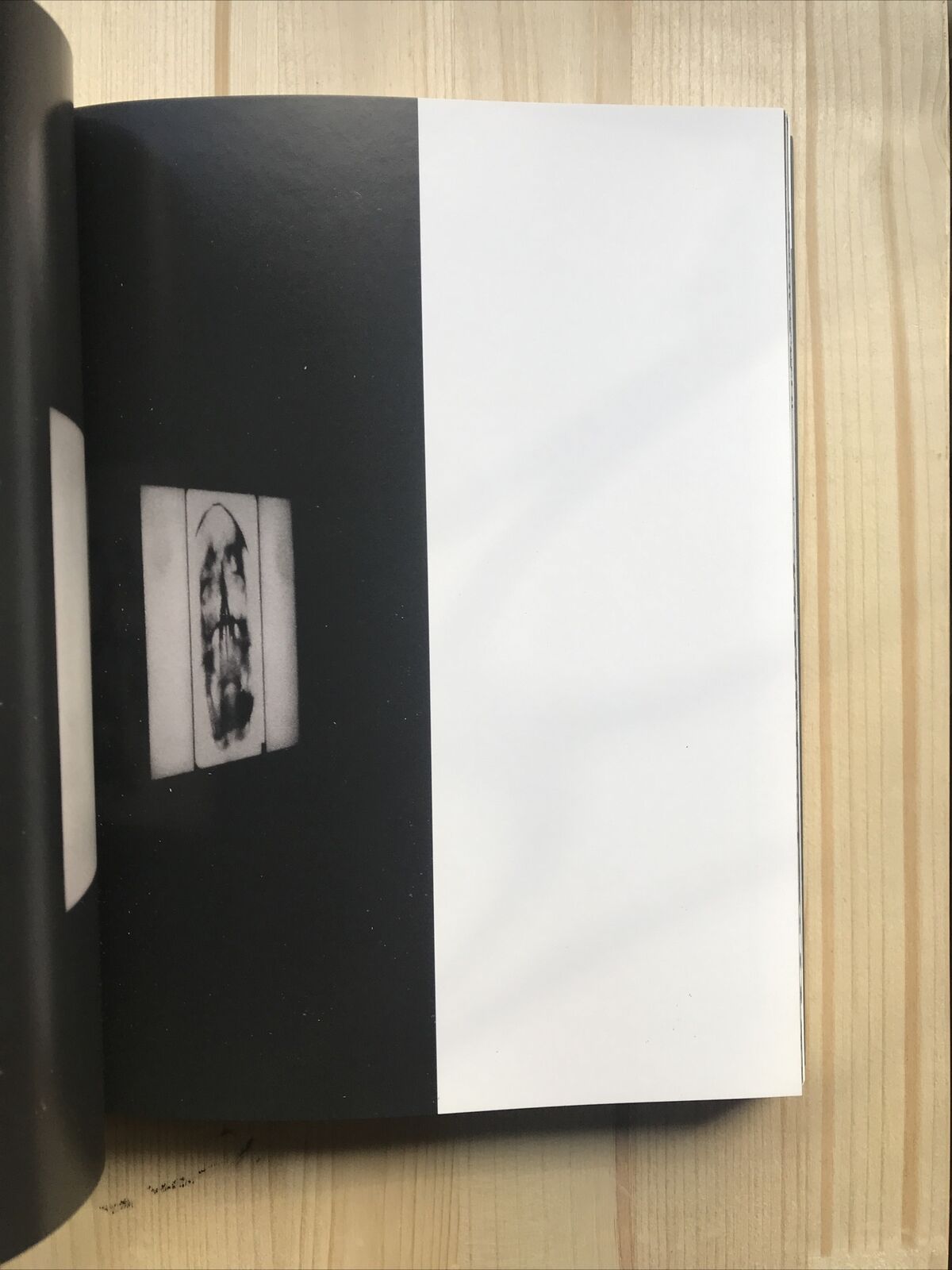 ANTONELLO FRESU - Der Körper, Mostra di Carpi Palazzo del Pio 2019. G. Demuro