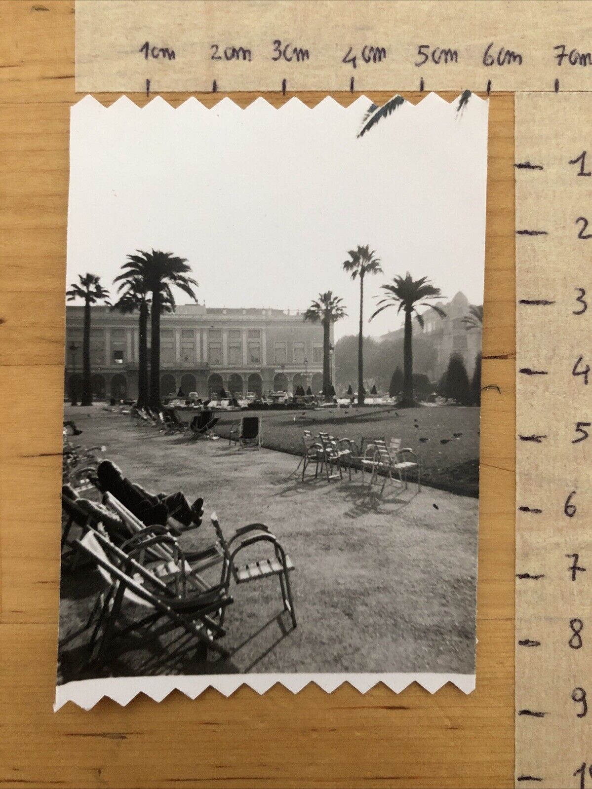 Fotografia NIZZA giardino,  originale 1958 - 6x8,5cm