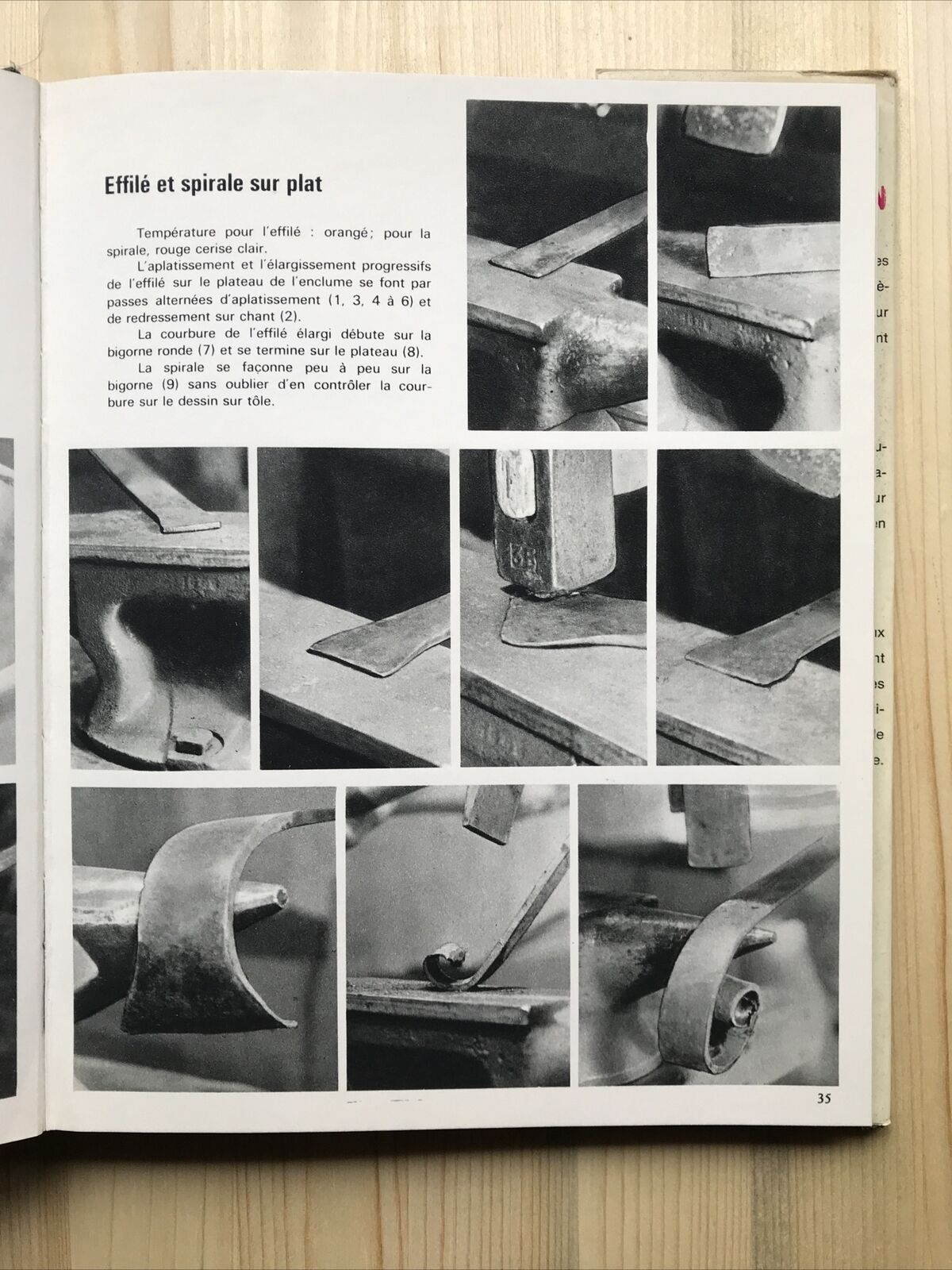 Toute la ferronnerie à la maison. En 500 photos commentées. Pascal Maillet