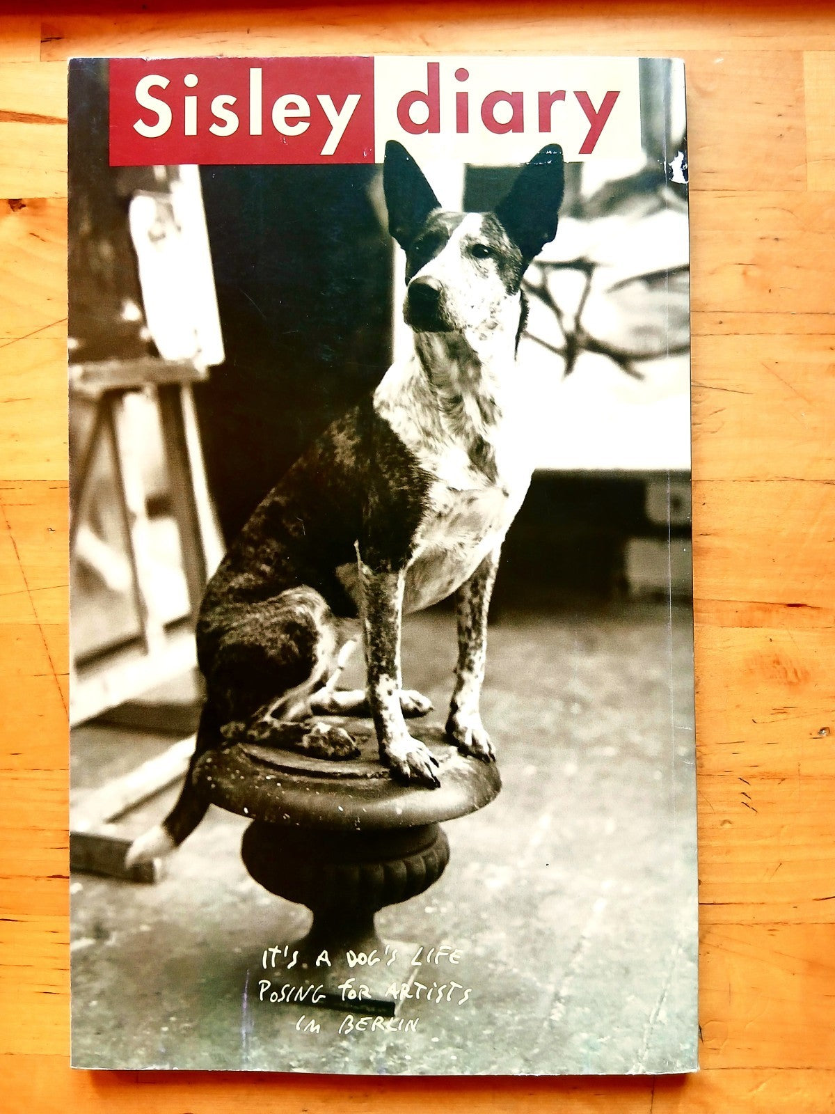 Sisley diary - the nights of Berlin. Autumn winter 1995 portrayed by Magnus Reed