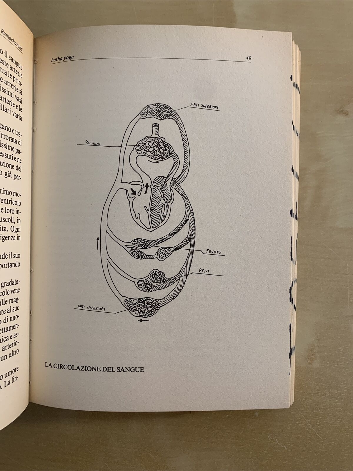 HATHA YOGA -Y. Ramacharaka, Libreria Vecchia Roma 1988