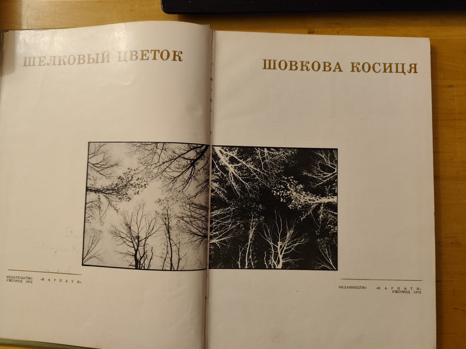 Ucraina fotografico Carpazi, lingua madre 1973 Karpaty editore Komendar, Fedaka