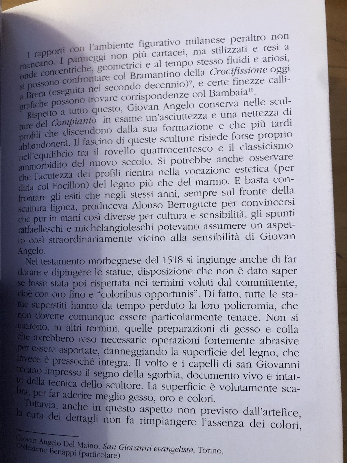 Ospiti 4, Giovan Angelo del Maino San Giovanni Evangelista, comune di Bologna