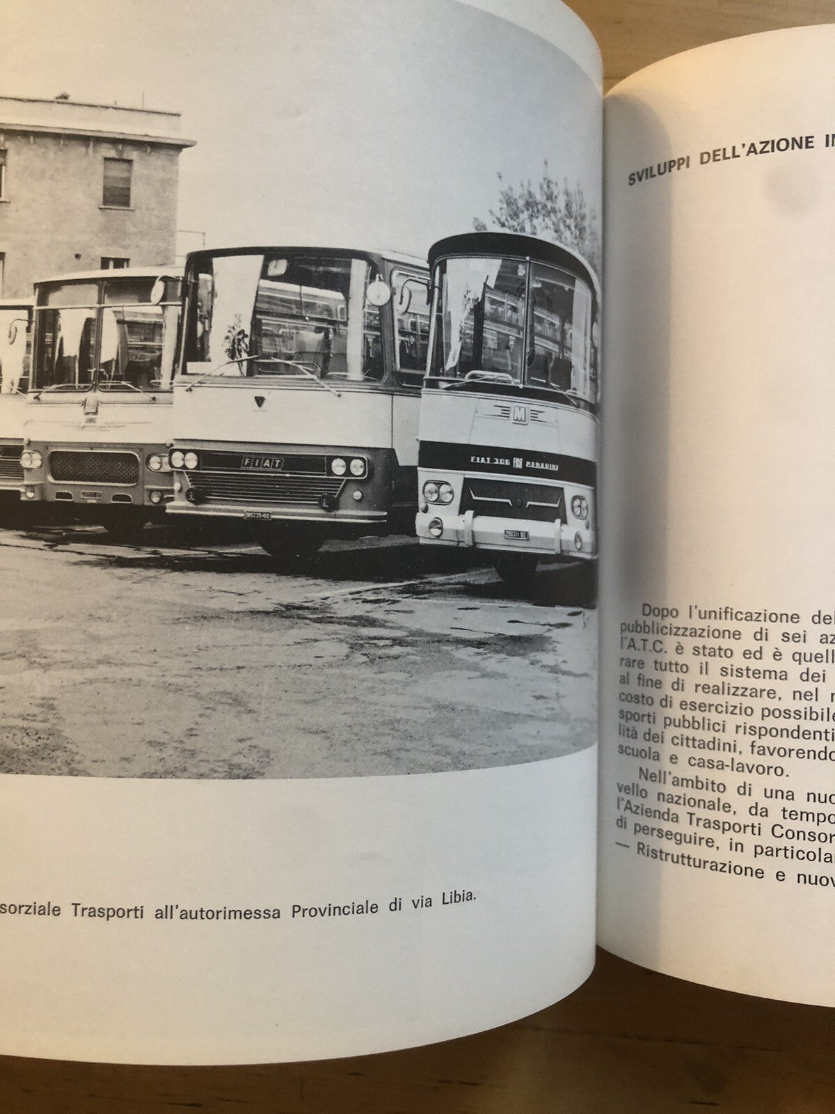 Fuori porta col vaporino Bologna 1877-1977 Davide Damiani