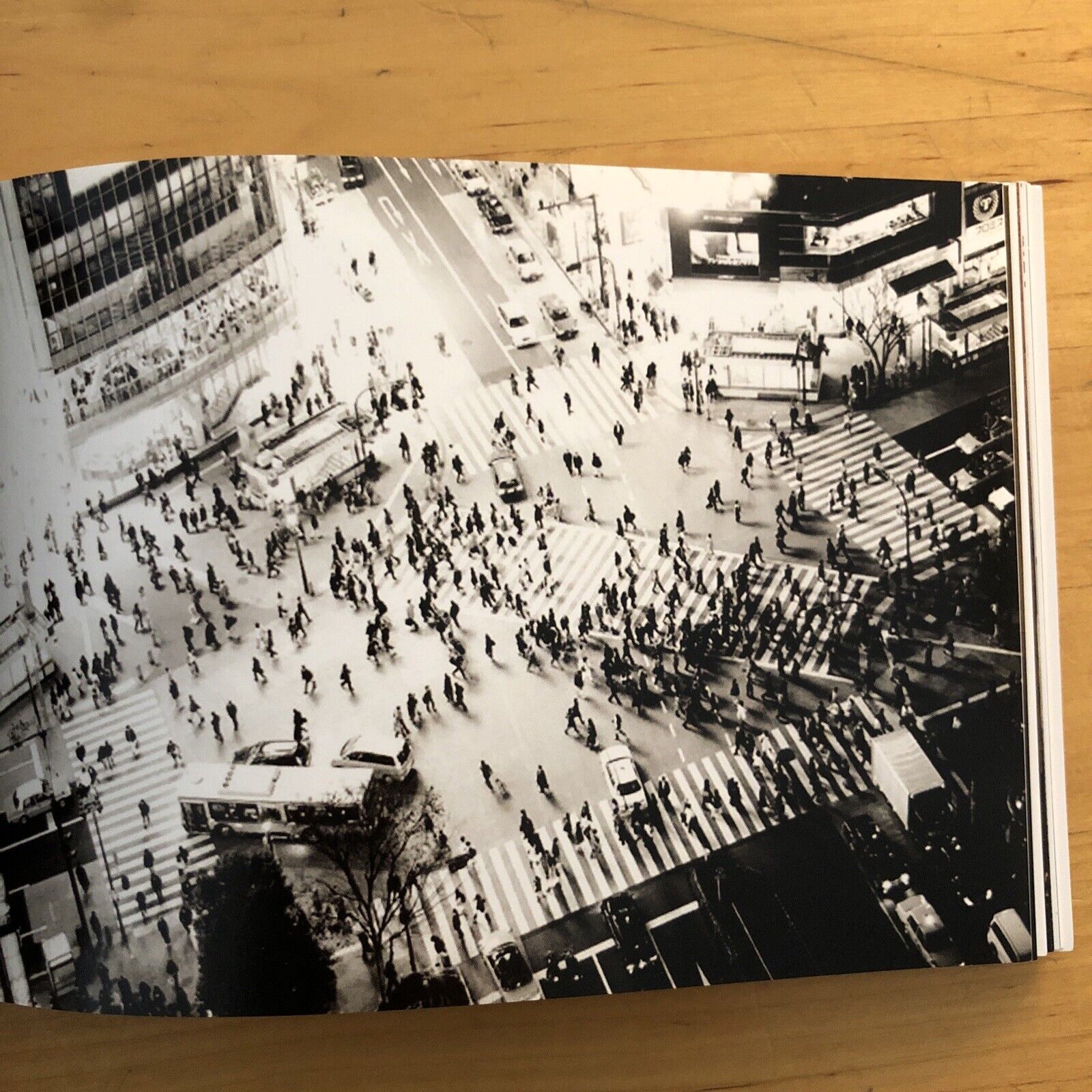 ILEX PHOTO ART EDITIONS catalogue one (12x16cm) FOTOGRAFIA