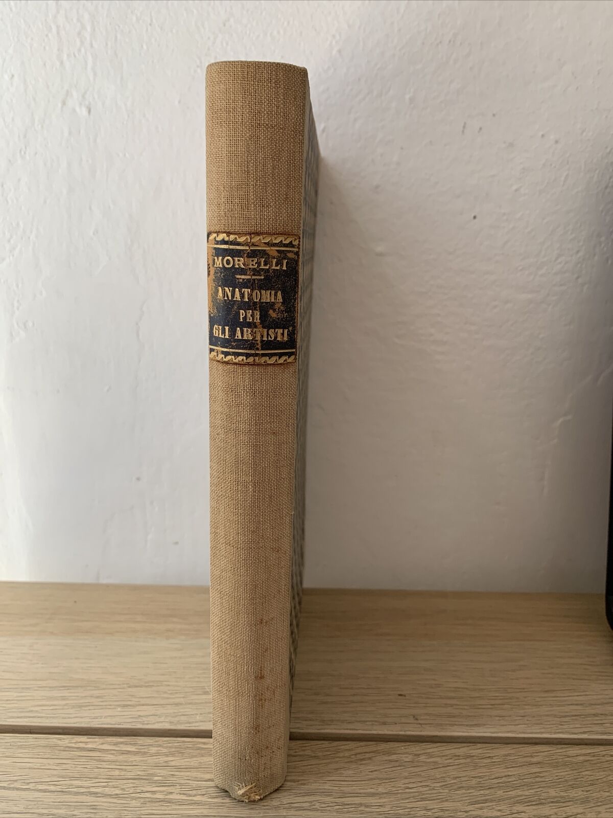 ANATOMIA PER GLI ARTISTI Angelo Morelli, Fratelli Lega 1943. illustrato
