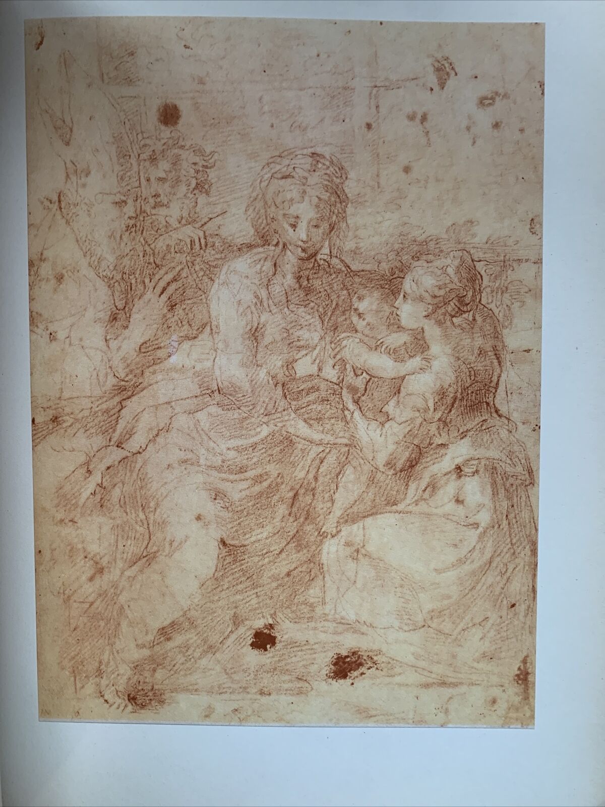 Disegni italiani dal XIII al XIX secolo. Edizioni Minerva 1963