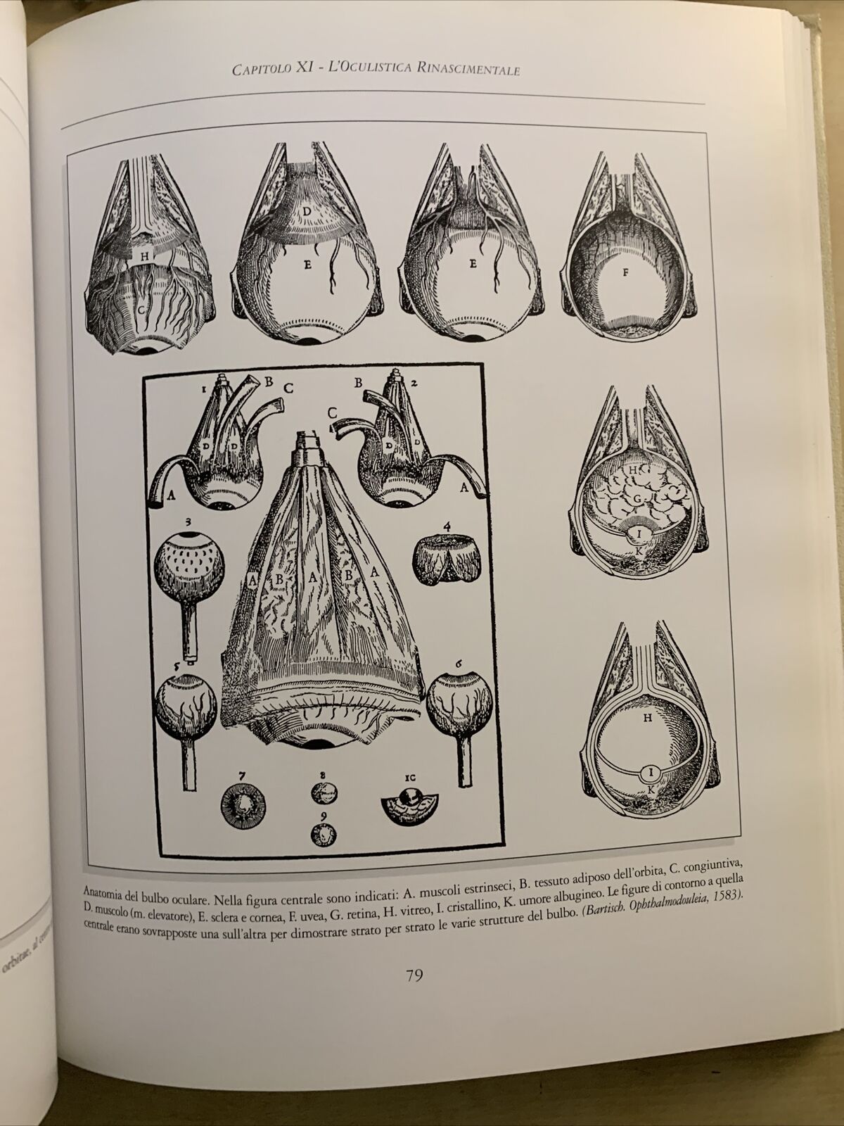 STORIA DELL'OCULISTICA VOLUME TERZO - NICOLA DELLE NOCI. EDITORE SIFI 2002
