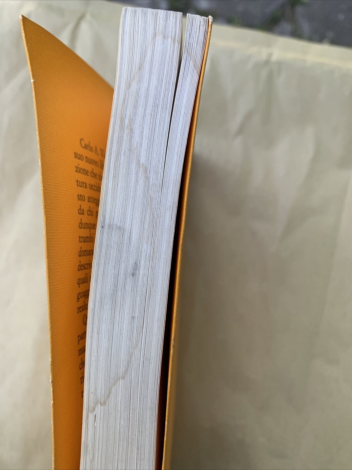 LA SELVA DELLE SOMIGLIANZE, IL FILOSOFO E IL MEDICO - CARLO AUGUSTO VIANO 1985 #