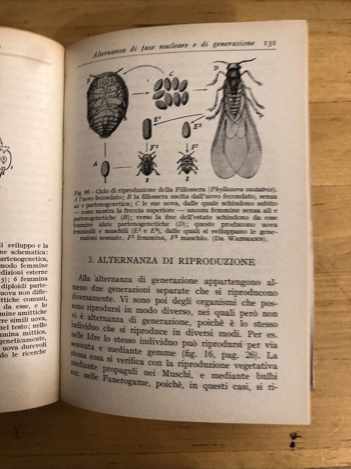 Riproduzione e sessualità nelle piante e negli animali, Claudio barbozza, Hoepli