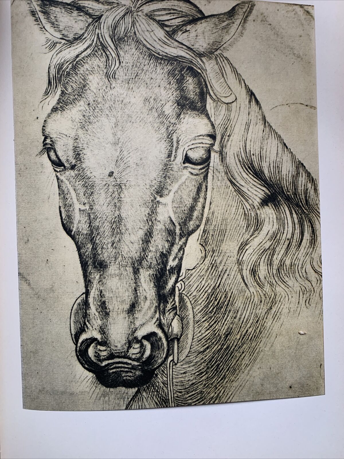 Disegni italiani dal XIII al XIX secolo. Edizioni Minerva 1963