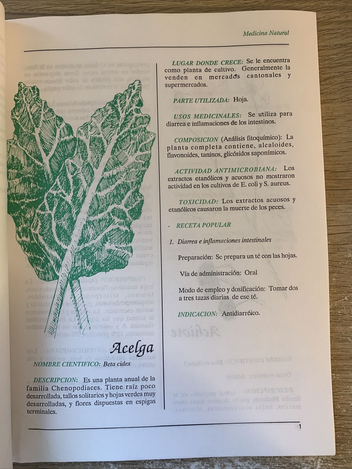 Plantas de uso Medicinal en centro America. Piante medicinali de centro America