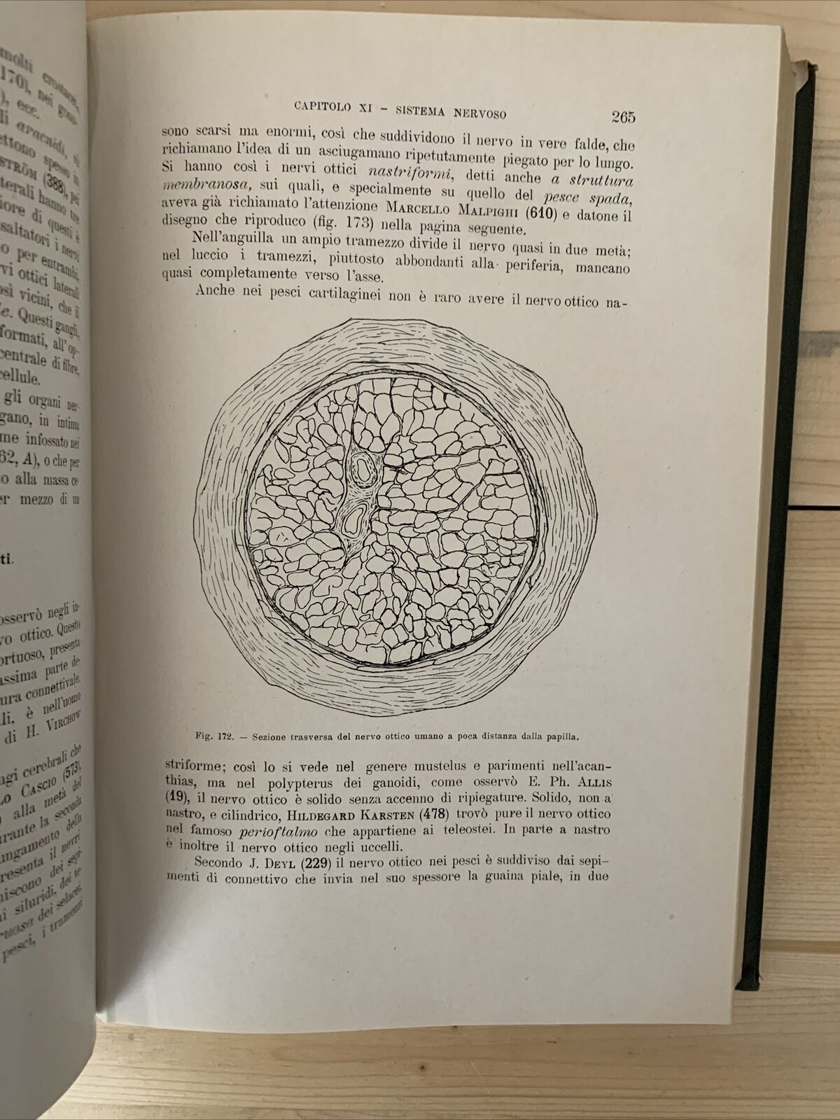 ANATOMIA E FISIOLOGIA DELL'OCCHIO NELLA SERIE ANIMALE - Giuseppe Ovio 1925 #