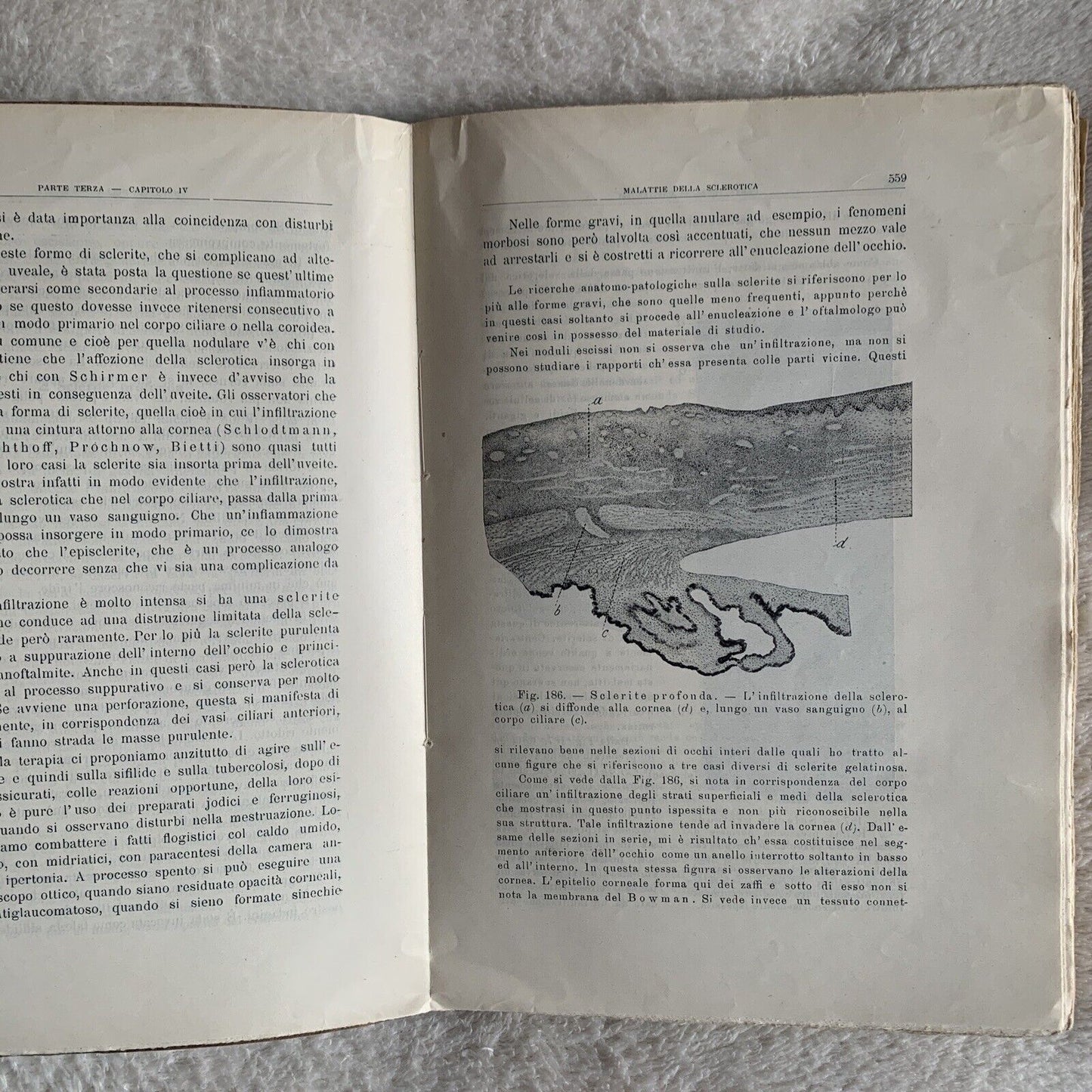 TRATTATO DI OFTALMOJATRIA. Amilcare Bietti, Vol. secondo puntata prima-seconda.