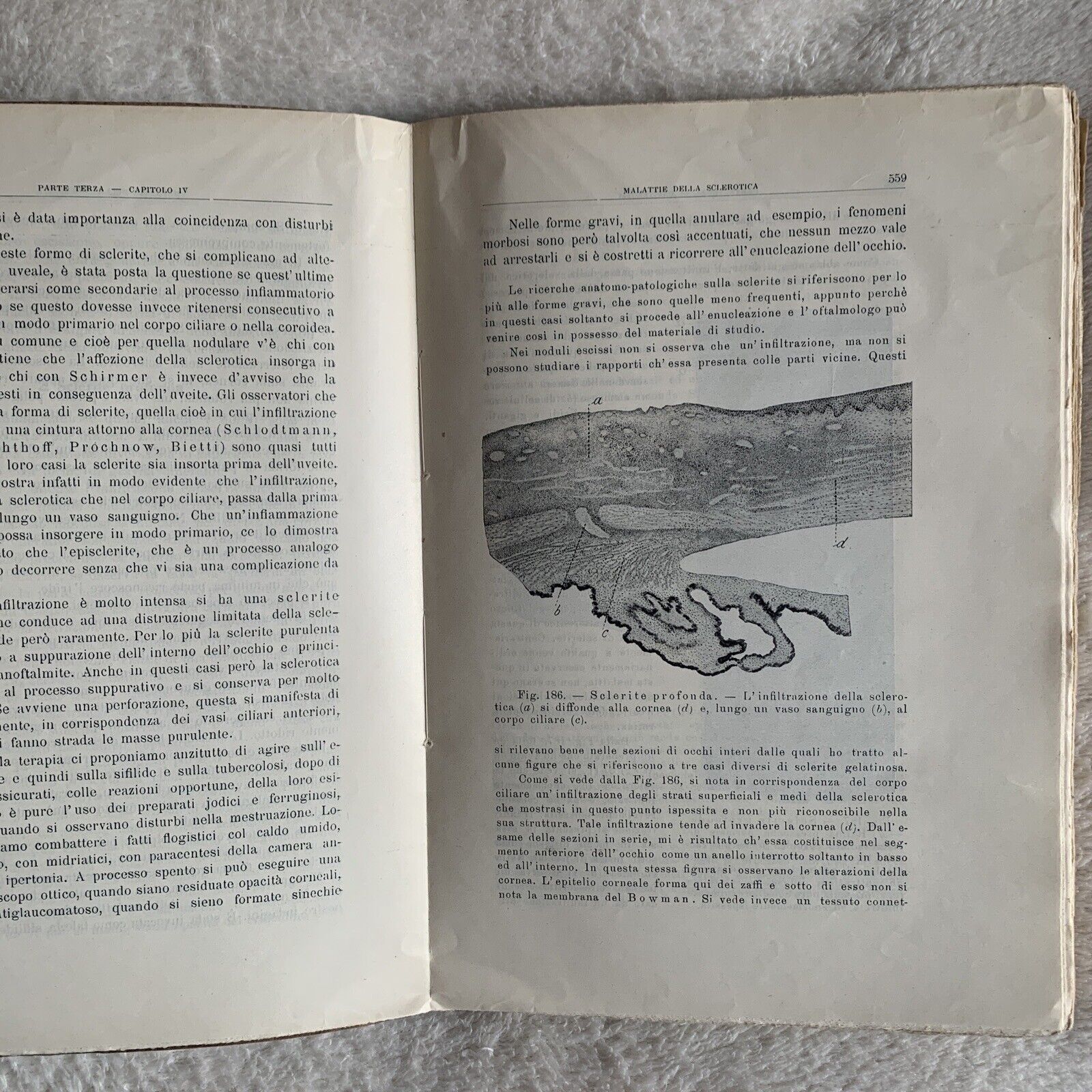 TRATTATO DI OFTALMOJATRIA. Amilcare Bietti, Vol. secondo puntata prima-seconda.