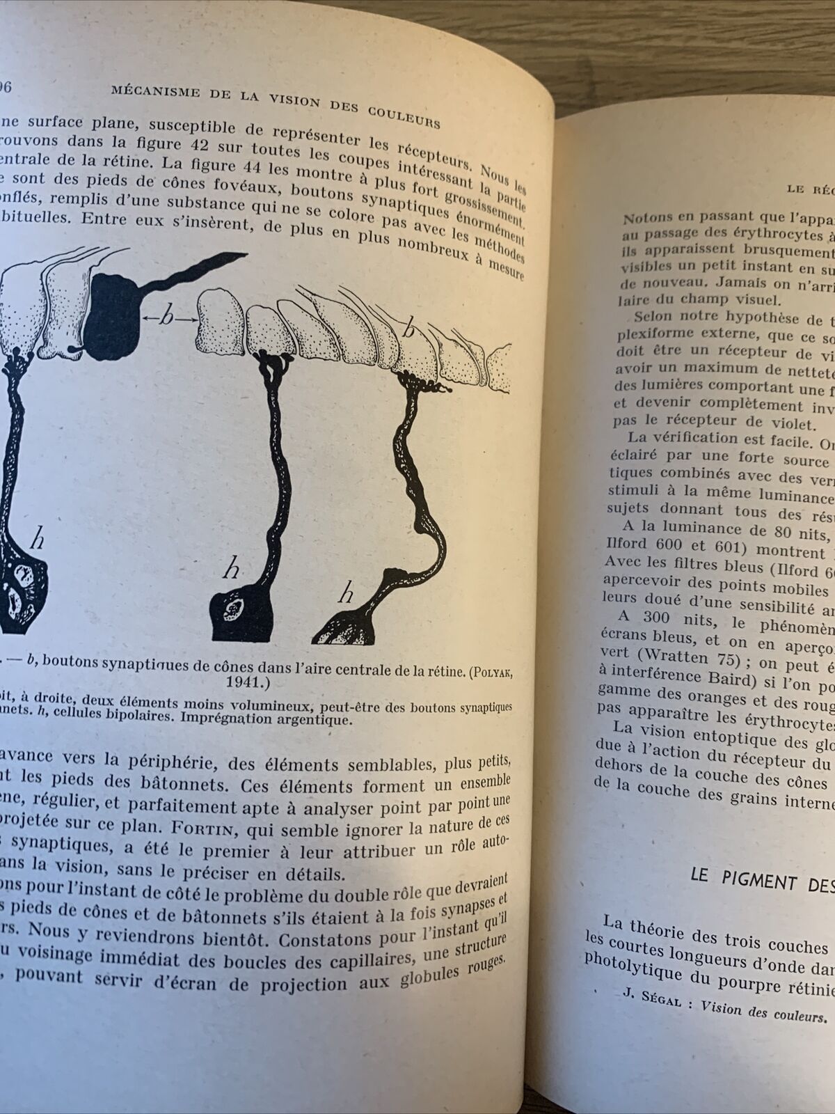 LE MÉCANISME DE LA VISION DES COULEURS. J. SÉGAL. physiologie pathologie 1953