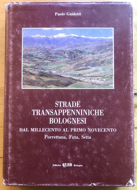 Strade transappenniniche bolognesi dal millecento al primo novecento P. Guidotti