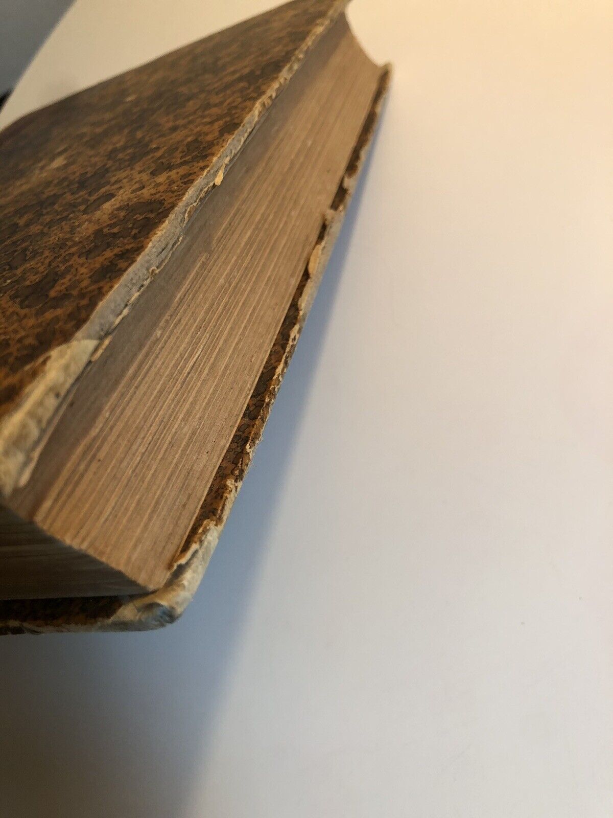 Mes Chasses dans le cinq parties du Monde - Paul Niedieck, Plon-Nourrit ed. 1907