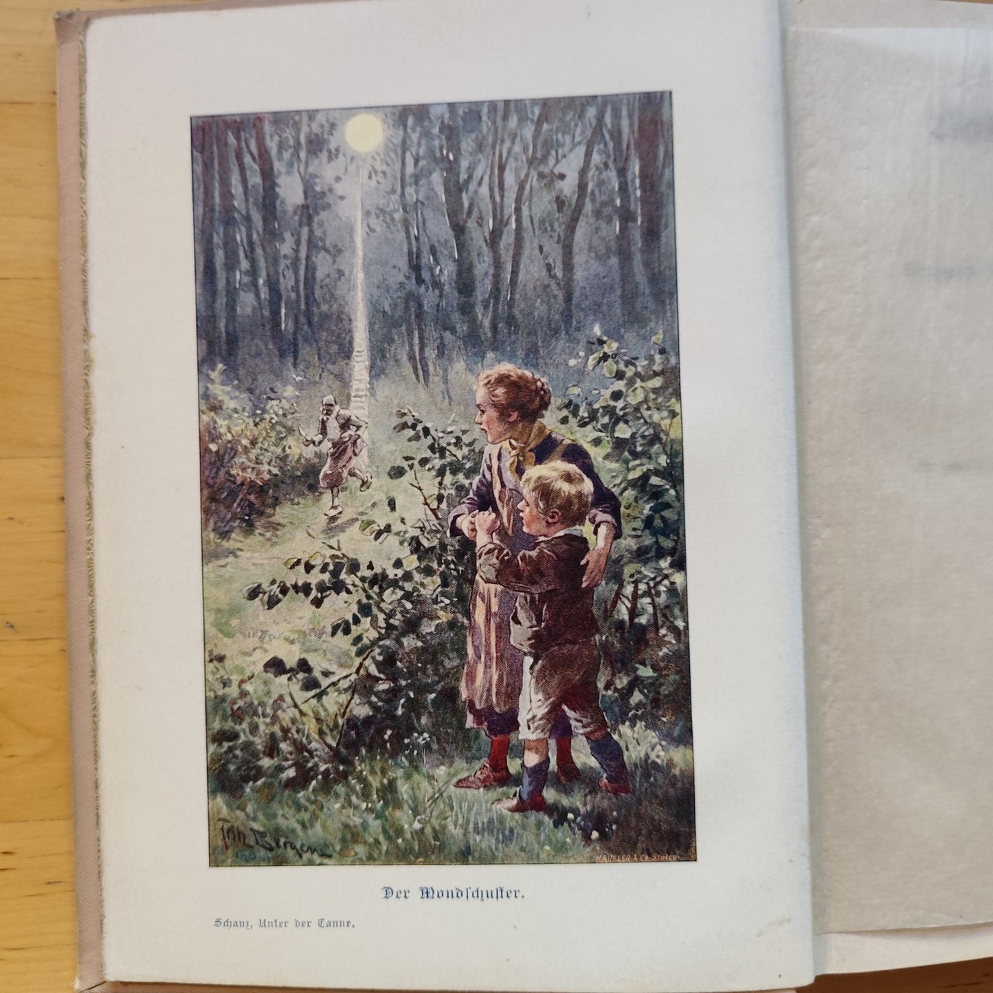 Unter der tanne - Frida Schanz - libro illustrato fiabe per ragazzi - 1900 ca.