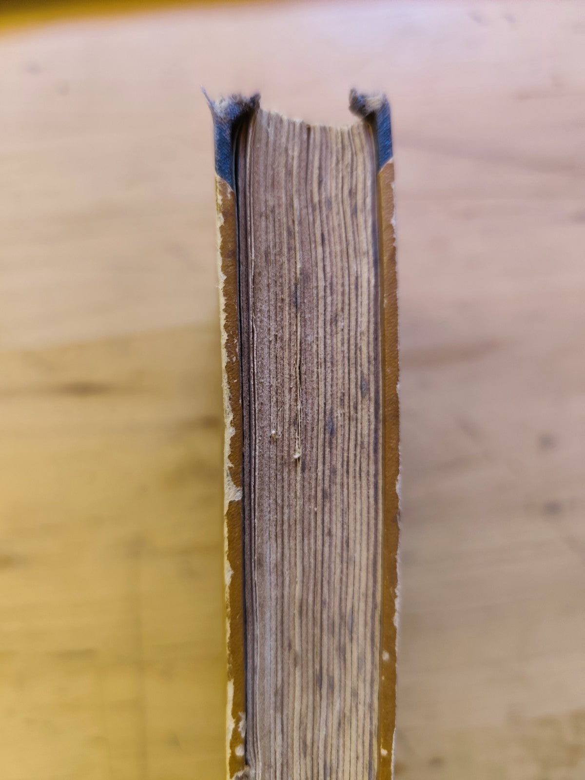 Per la verità, Generale Luigi Capello. Fratelli Treves editori 1920