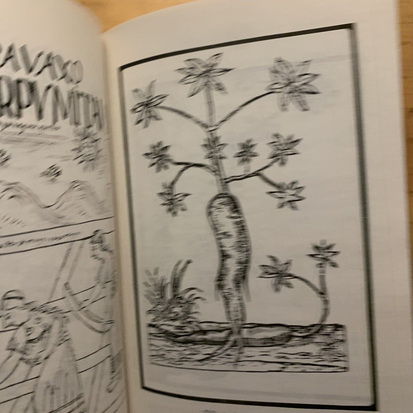 Agricultura prehispanica y colonial - Mario Ardon Mejia. editorial guayamuras