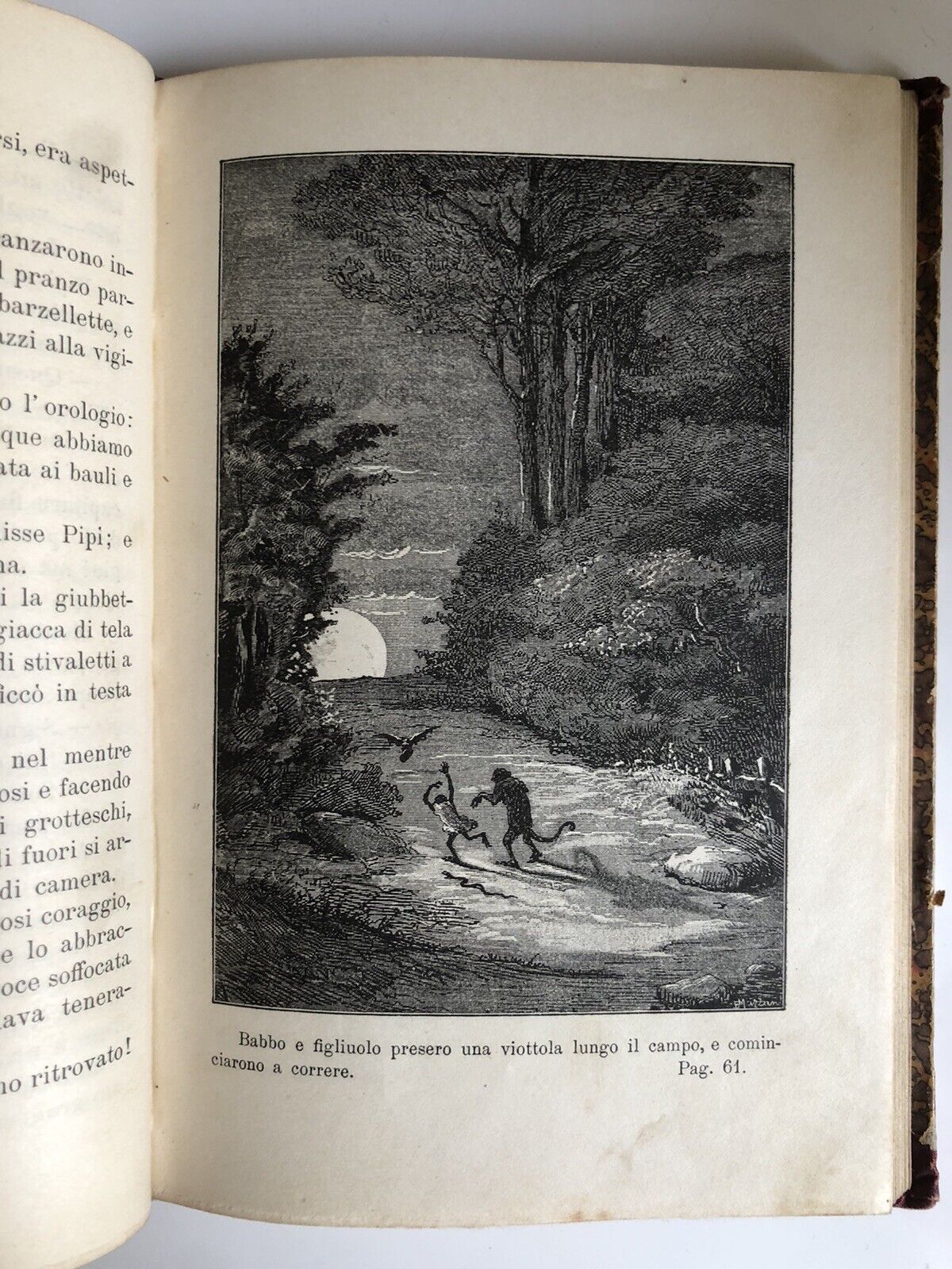 Carlo Collodi - Storie Allegre, libro per ragazzi illustrato da E. Mazzanti 1894