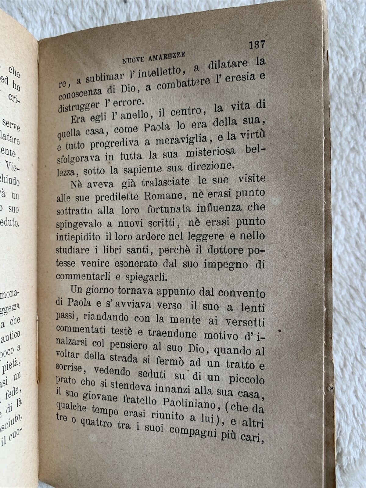 Paola rose e spine della chiesa del IV secolo per una figlia della carità  1879