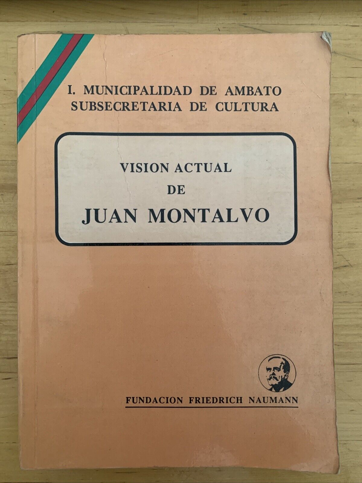 VISION ACTUAL DE JUAN MONTALVO, MUNICIPALIDAD DE AMBATO SUBSECRETARIA DE CULTURA