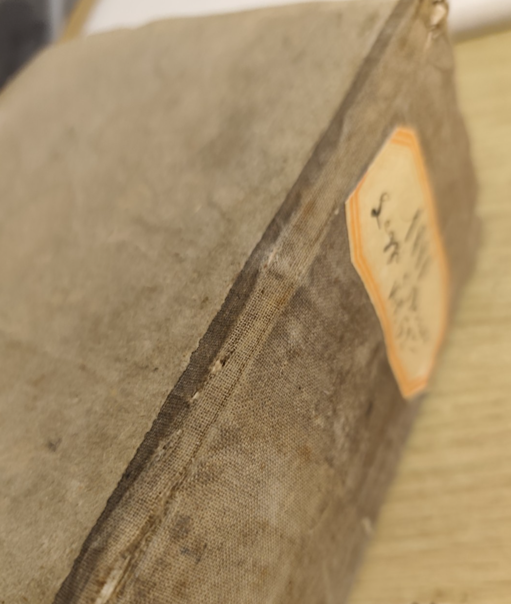 Leggi e decreti del Regno d'Italia 1881 volume 62o tipografia regia