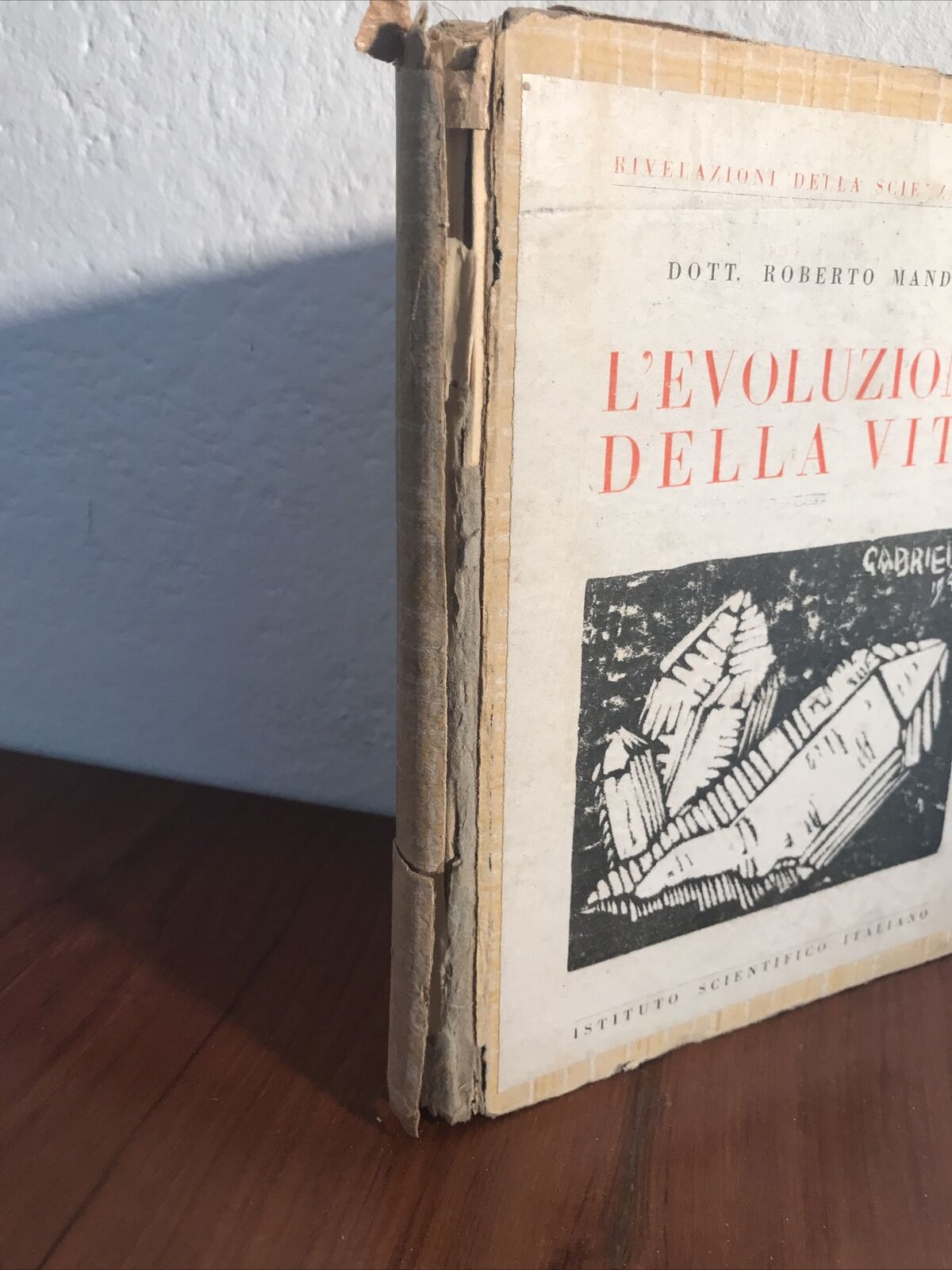 L'evoluzione della vita R. Mandel istituto scientifico italiano TEORIA EVOLUTIVA