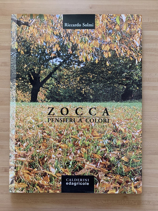ZOCCA - PENSIERI A COLORI, RICCARDO SOLMI. CALDERINI EDAGRICOLE #