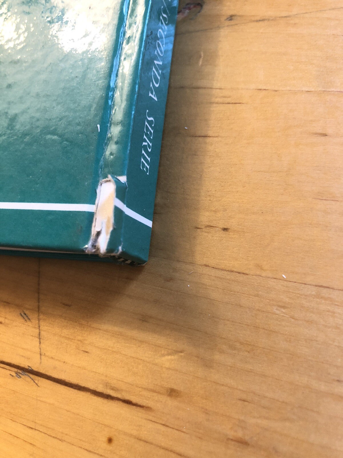 Bologna per la strada, leggende e curiosità Menarini Vianelli seconda serie 1976