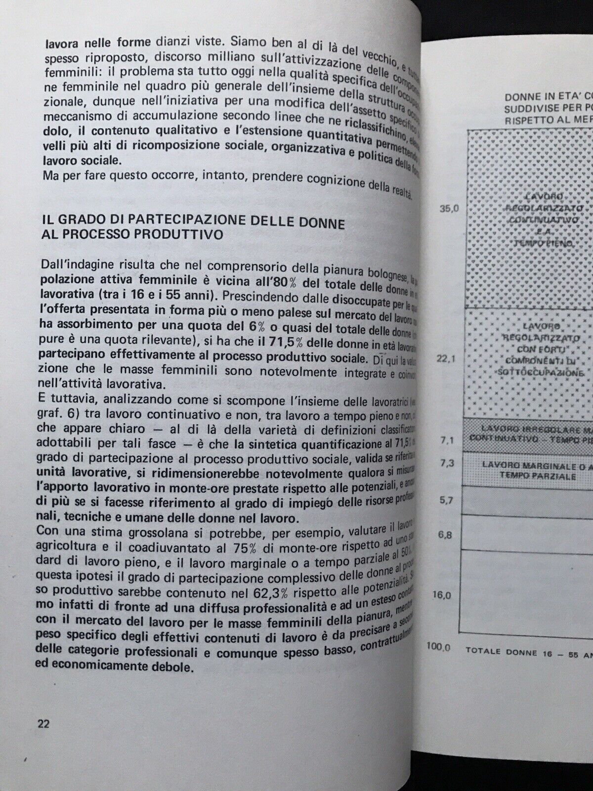Indagine sulla condizione della donna in età lavorativa nella pianura bolognese#
