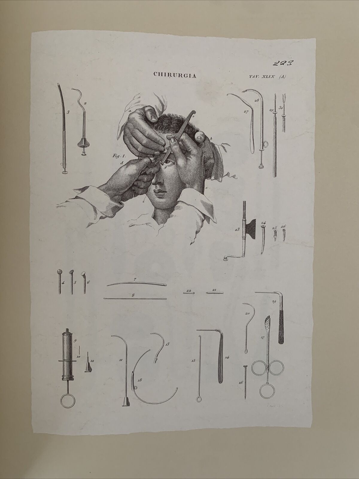 Icones ophthalmologicae - Francesco Loperfido - Casa editrice Mattioli 1992 #