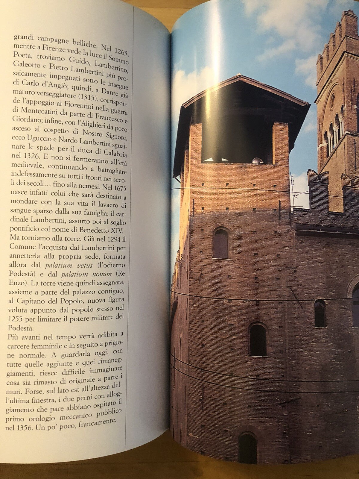 Le torri di Bologna, Fabio Morellato. L'Inchiostroblu 2003