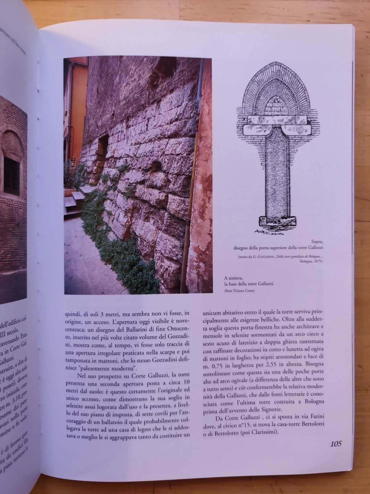 Bologna di Selenite, Una pietra racconta, Francesca Cerioli, I. Corna. Costa ed.