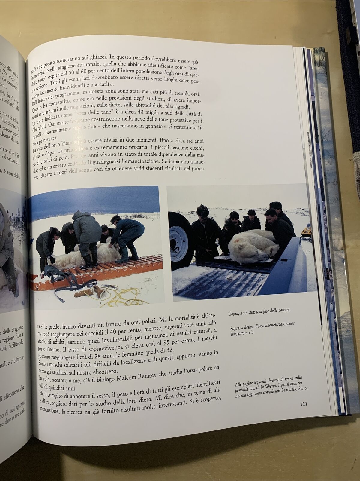 ARTICO - Brando Quilici, Una frontiera della Natura. Touring Club Italiano #