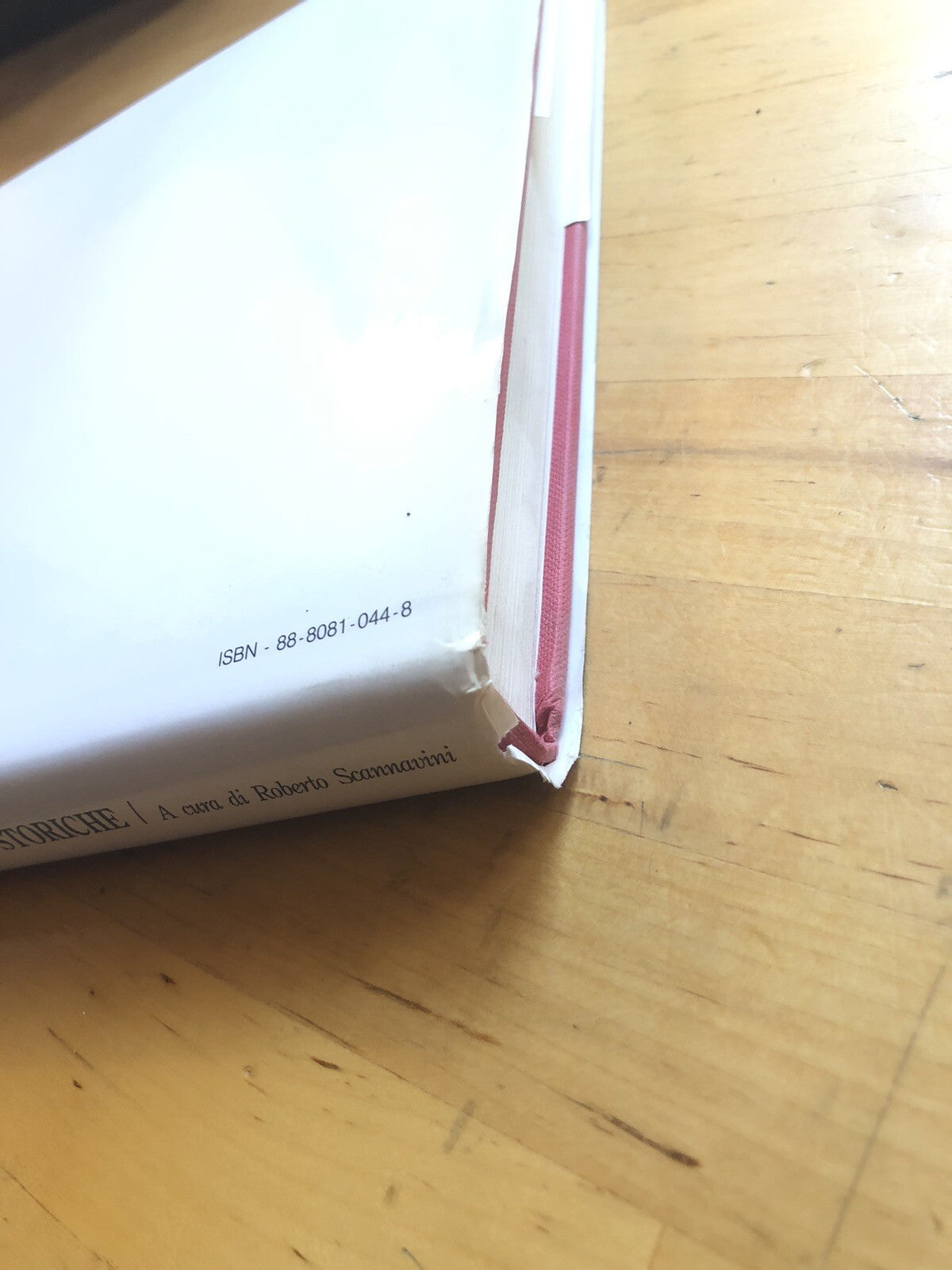 Sopra i tetti di Bologna -  Altane e Terrazze storiche, Roberto Scannavini 1995