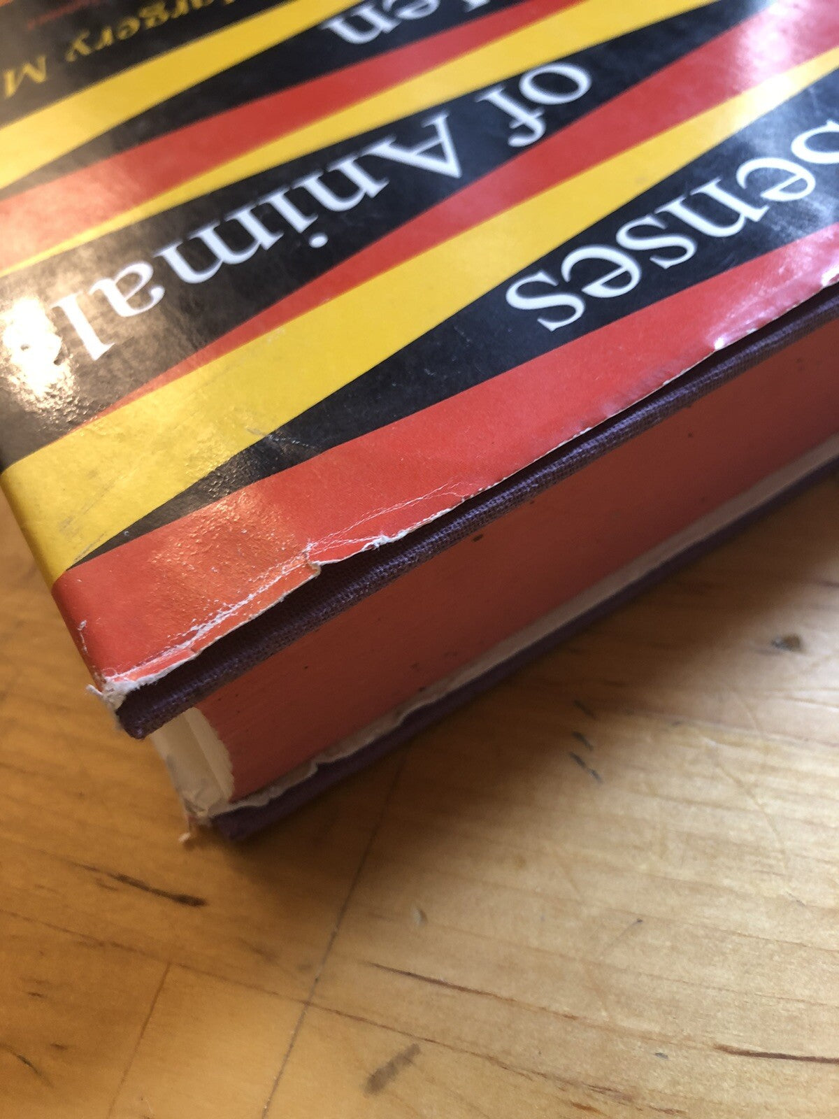 The Senses of Animals and Men - Lorus J. Margery Milne. Atheneum 1962