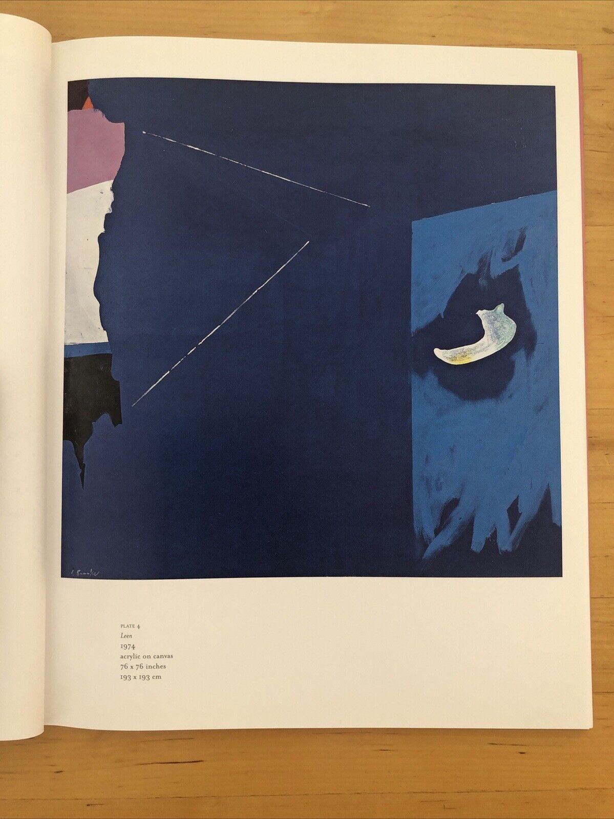 JAMES BROOK - SELECTED WORKS 1960-1985, ARTEMIS GREENBERG VAN DOREN GALLERY 2003