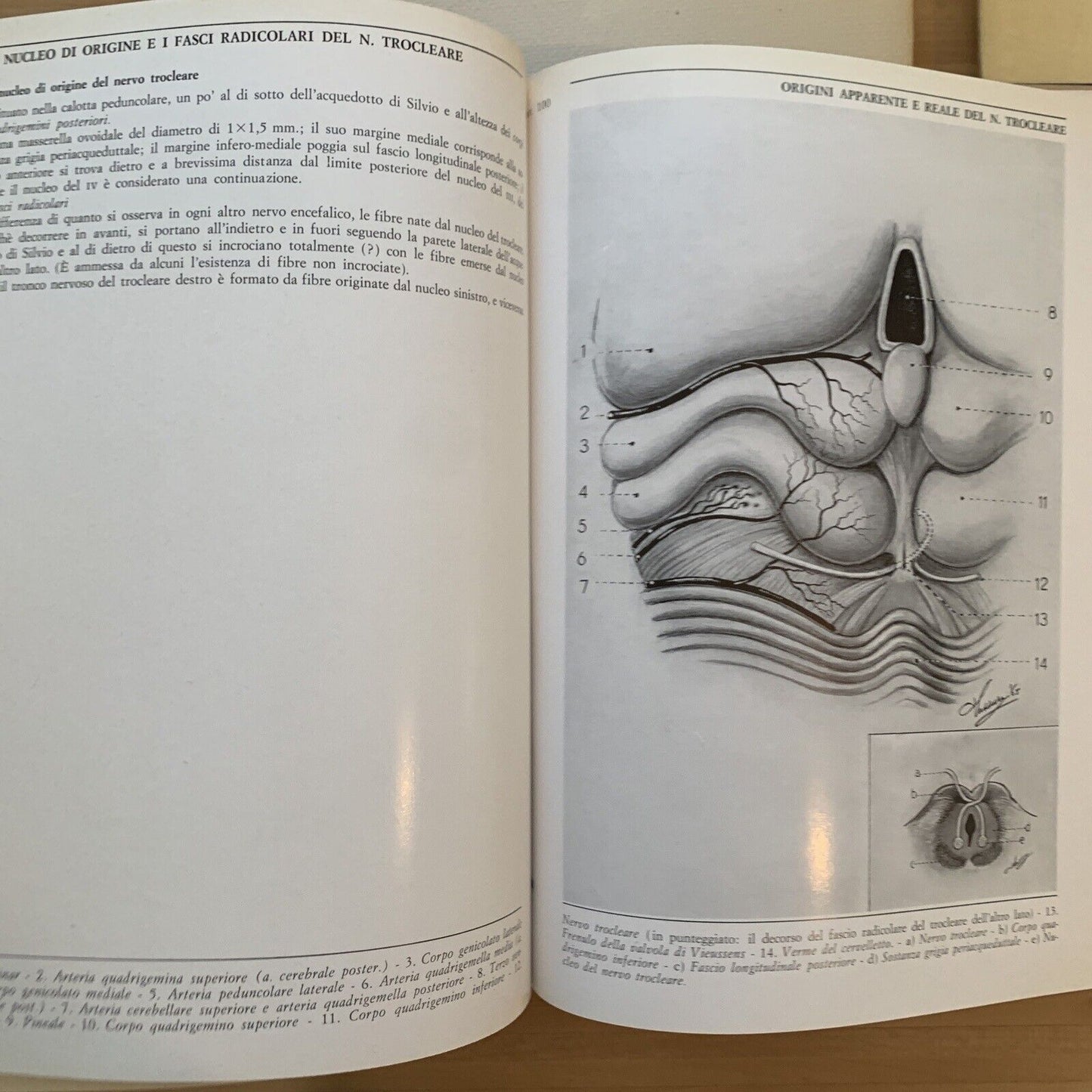 L'OCCHIO - Iconografia anatomica 4 volumi. Giorgio W. Vassura. Italseber