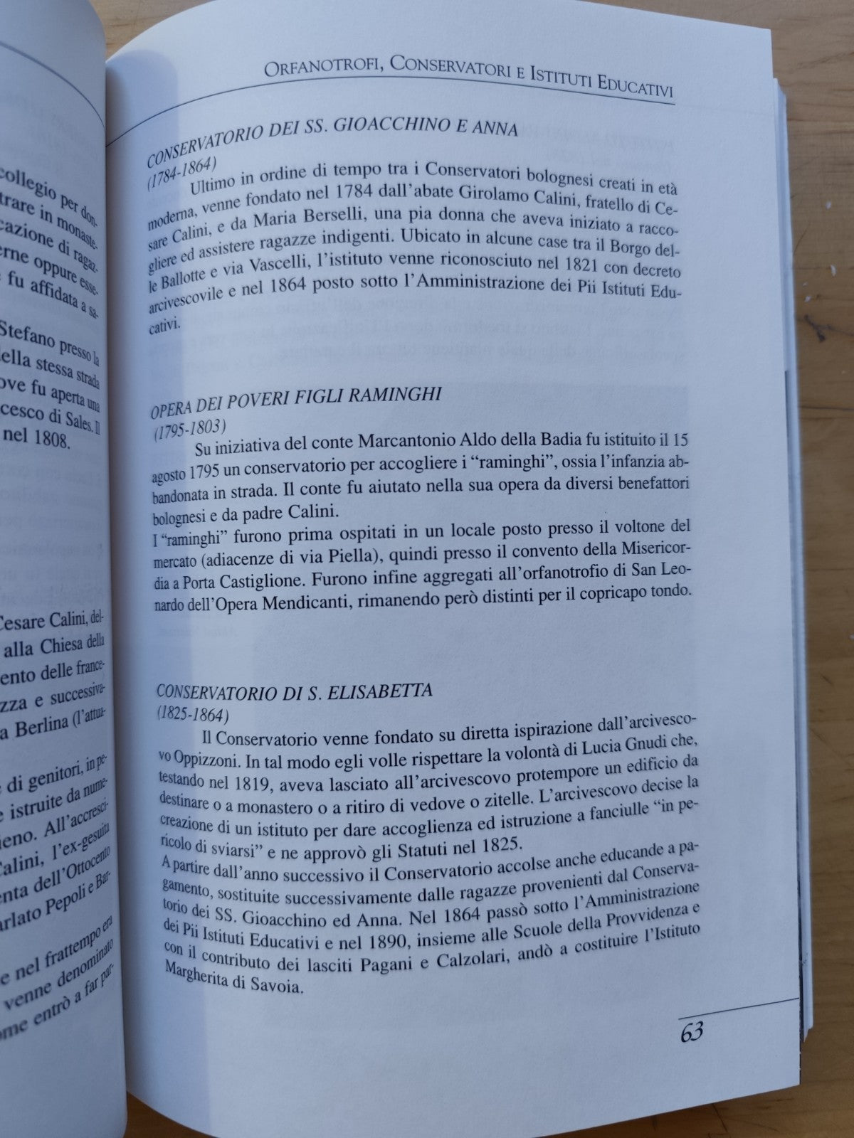 La città della carità Bologna, M. Carboni M. Fornasari - Costa editore 1999
