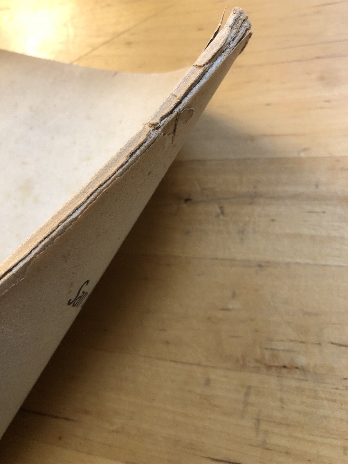 San Bernardino da Siena a Bologna, Celestino Piana, Vallecchi estratto 1945