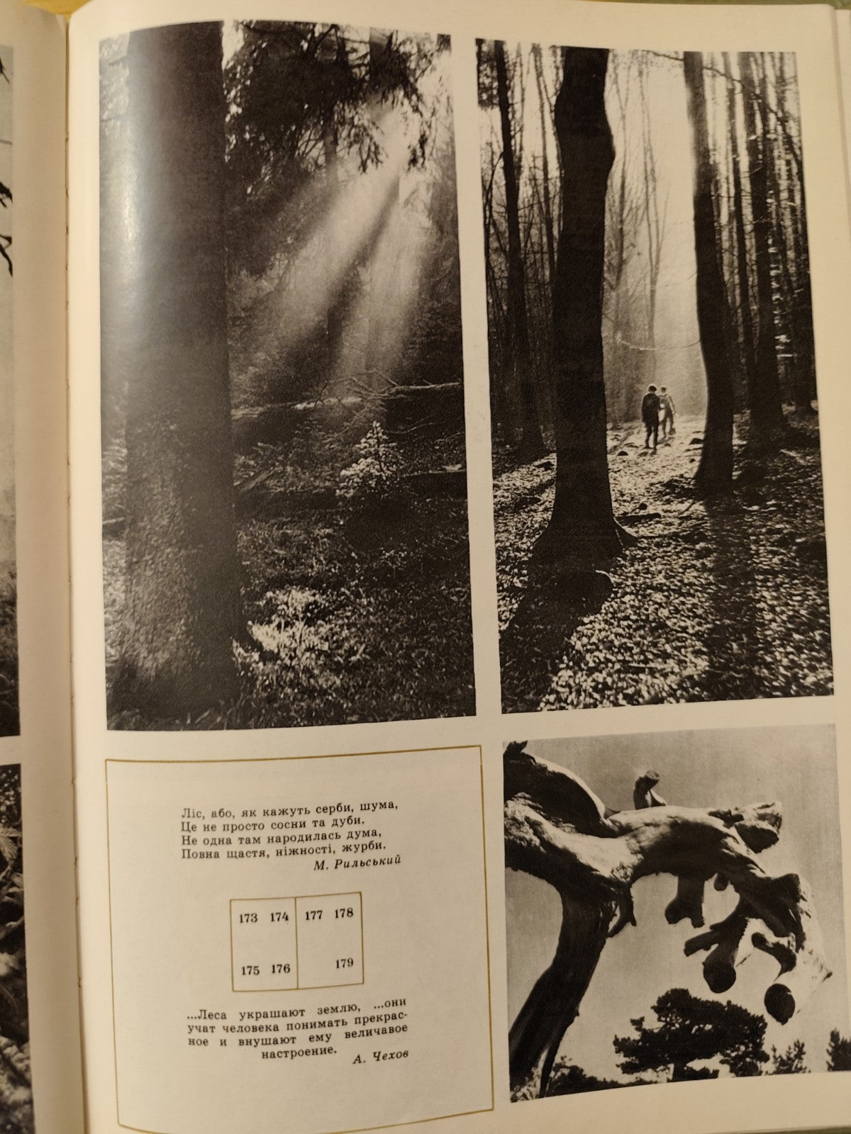 Ucraina fotografico Carpazi, lingua madre 1973 Karpaty editore Komendar, Fedaka
