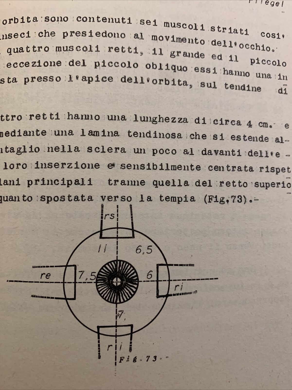 MANUALE DI OTTICA FISIOLOGICA per oculisti e ottici - Mario Maione, 2 voll. 1957