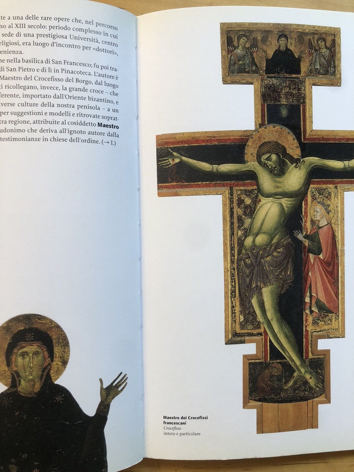 La Pinacoteca Nazionale di Bologna - Rosa D'Amico - Marsilio 2001